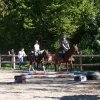 Babie Lato z Hucułami 2015